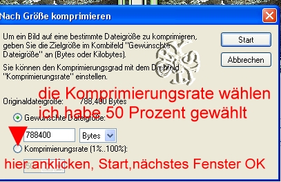 +++