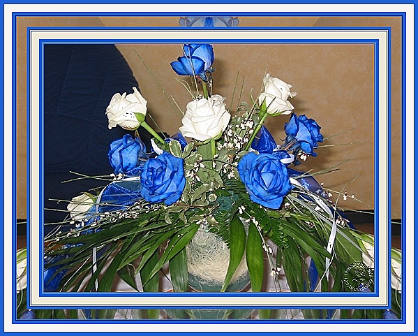 danke f�rs foto