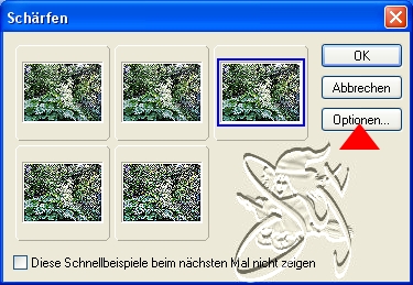 +++