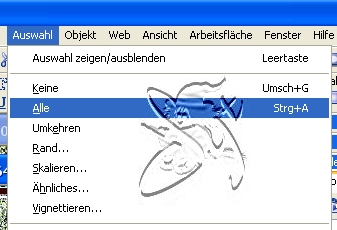 +++