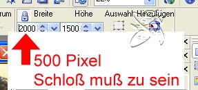 screen