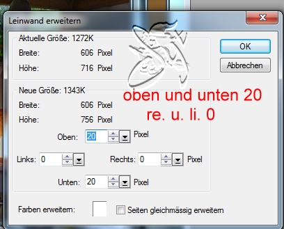 screen