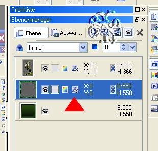 screen