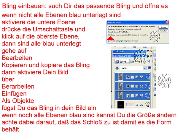 bling einbauen