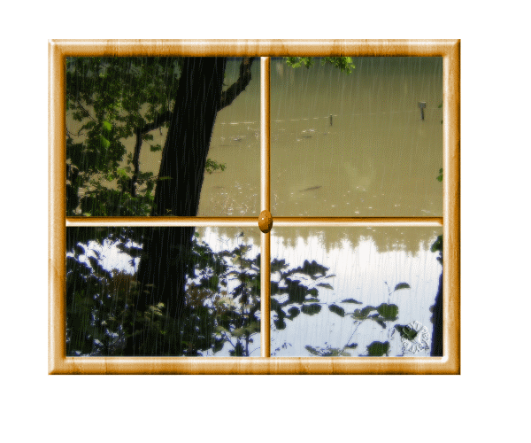 fenster