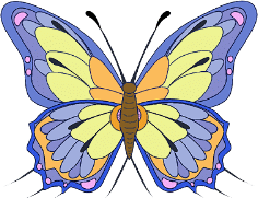butterfly